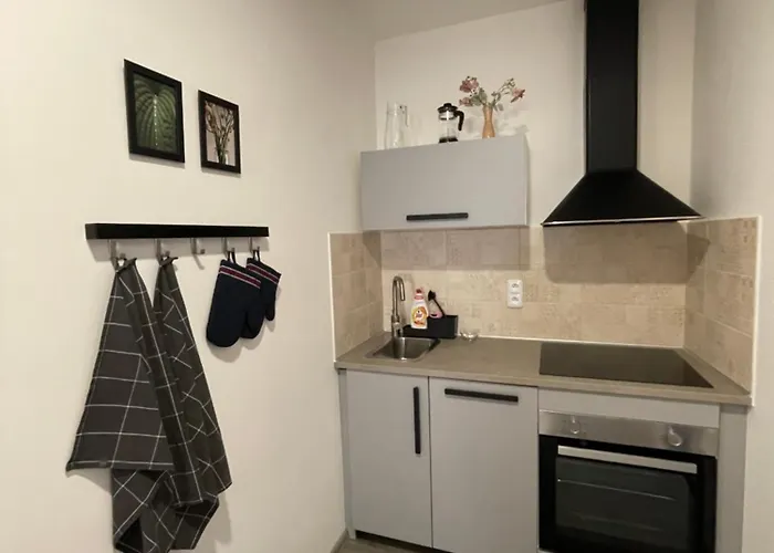 Apartman Comfortable Under The St. Barbara's Cathedral